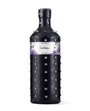 Absolut Vodka Rock 1000ml - mit leerer Flasche
