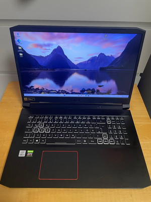 Acer Nitro 5 AN517-52  17,3  FHD  144Hz  i7-10750H RTX 3060  6GB  32GB 1TB  NVME