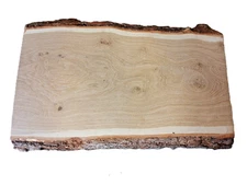 Large Knotty Oak Live Edge Slab Kiln Dry 26in L X 15-17in W X  1.8in TSHIPs FREE