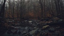 Landscape water forest fall dark gloomy mist river rocks Custom Gaming Mat Desk