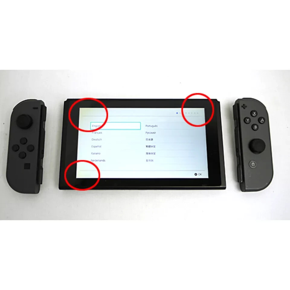 Nintendo Switch Gray Lcd Screen Damage Original Box Included