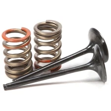 Pro X Steel Intake Valve and Spring Kit 28.SIS4341-2