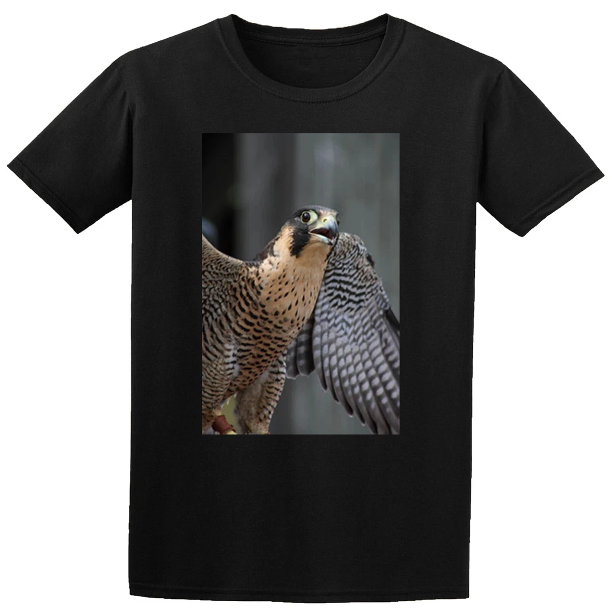 Peregrine falcon t best sale shirt