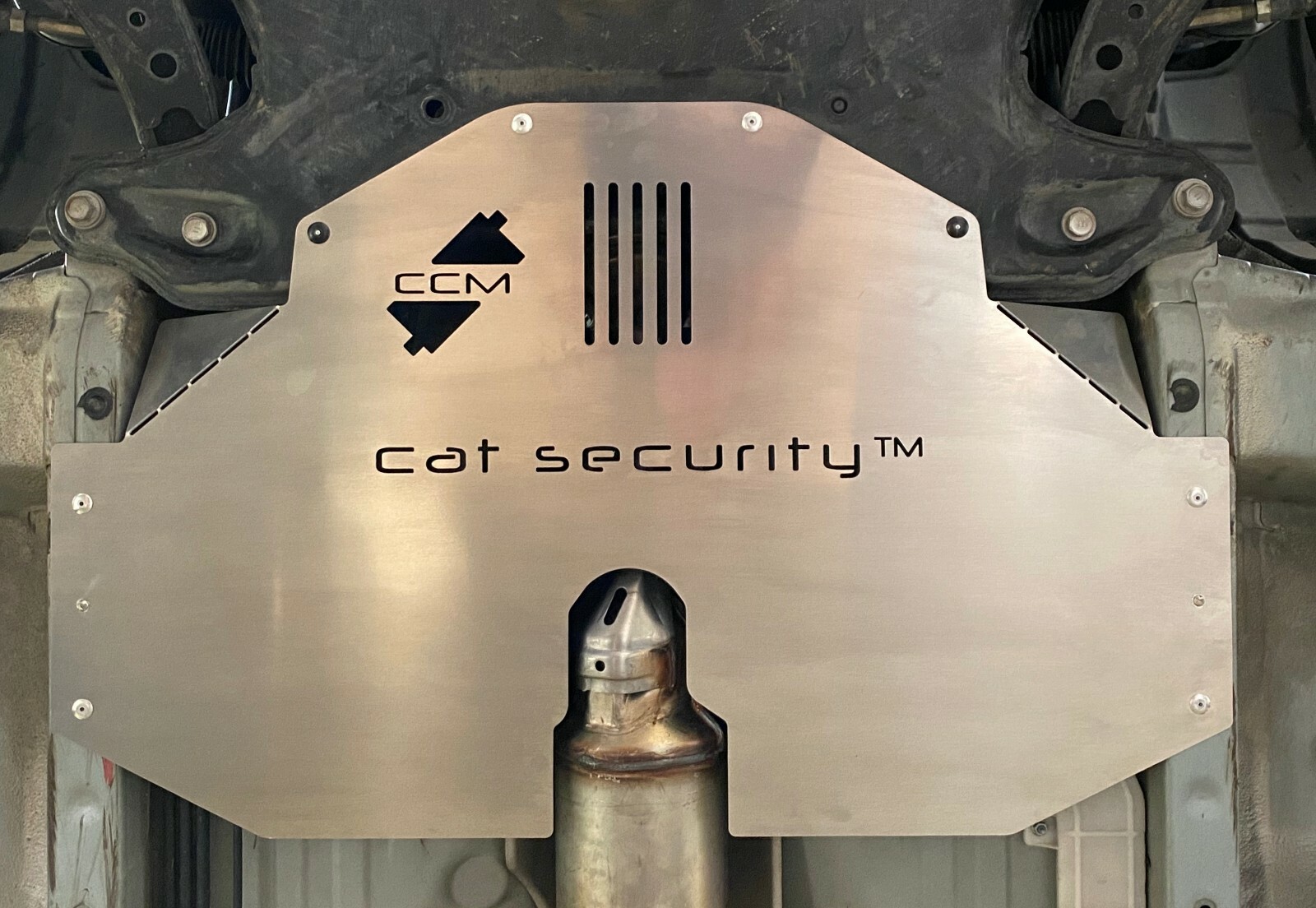 cat security prius