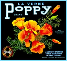La Verne Poppy Oranges Lordsburg California Citrus Fruit Crate Label Art Print