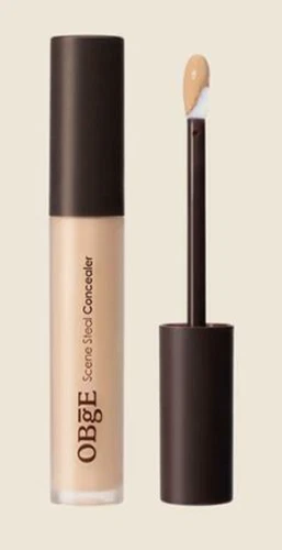 Obge Scene Steal Concealer 5g K-Beauty