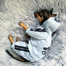 Cozy Warm Dog Jumpsuit for Small Medium Pets | Winter Puppy Outfit Clothes