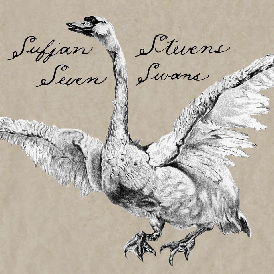 Sufjan Stevens Seven Swans 20. Jubiläums Silber Vinyl LP & Flexidisc - Bild 3 von 4