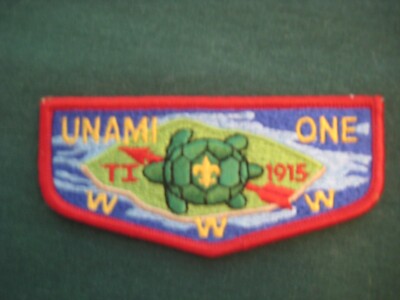 Unami 1 s10 flap OAE