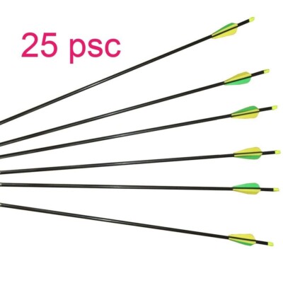 25 Pcs 30 Inch Fiberglass Compound bow Target arrows 30'' by ROBIN'S APPLE