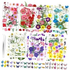 190 Pcs Dried Pressed Flowers for Resin, Real Dried Pressed Flowers Multi Color