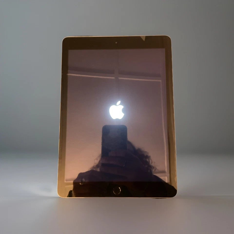 Apple - Certified Fully functional iPad (5th Generation) (2017) Wi-Fi -32GB Gray - Image 4 of 4