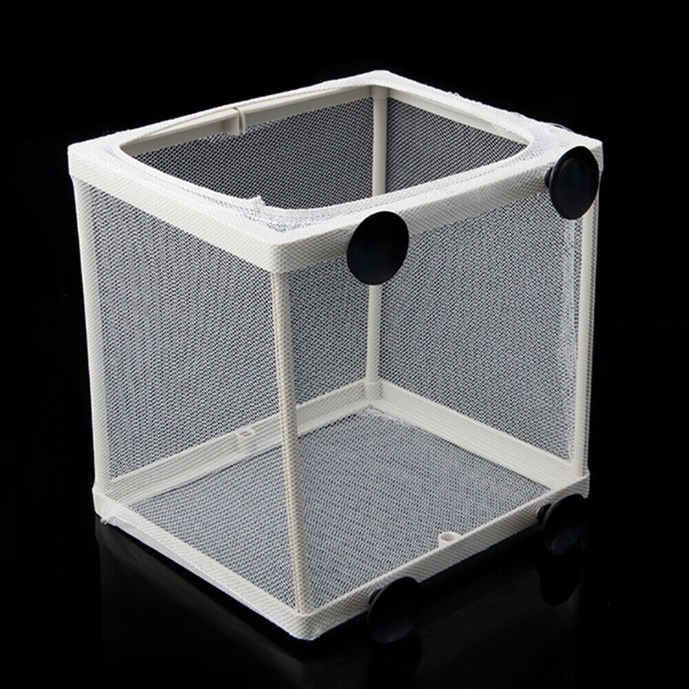Rete divisoria acquario nylon mesh pesce Fry Spawn Hatchery allevatore allevamento scatola foto 3