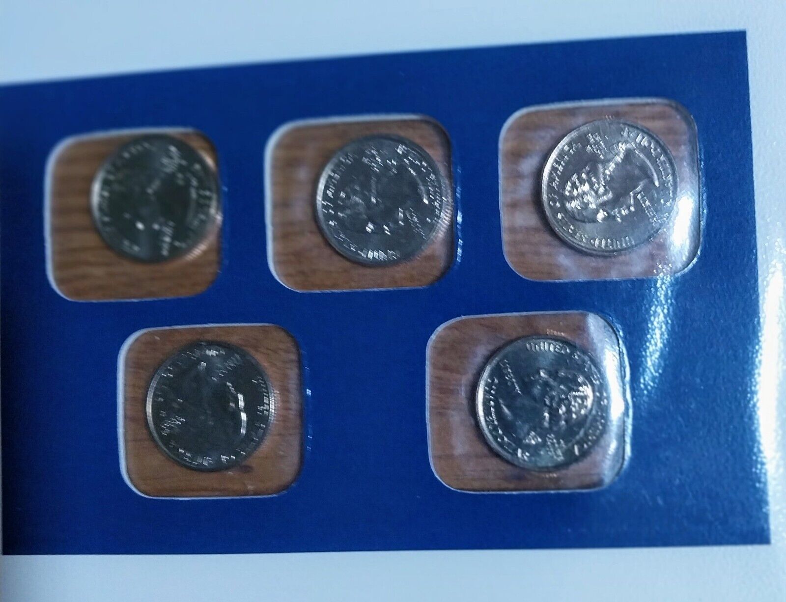 Picture 5 of 11