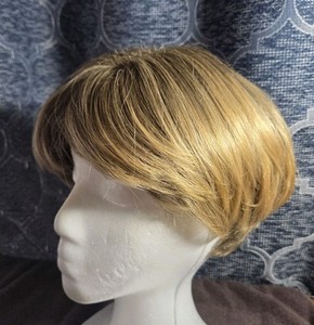 NORIKO by Aderans Women's Wig Brown Layer Made Japan