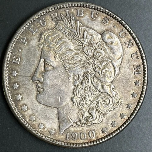 1900 Morgan Silver Dollar MS