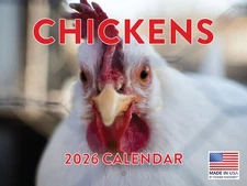 Chicken Calendar 2026 Monthly Wall Calender 12 Month
