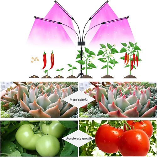 4 Heads Pflanzenwachstumsleuchte LED Vollspektrum Pflanzenlampe 40W Grow Lampe - Bild 9 von 12