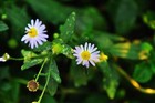 Bild 7 von 11