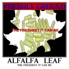 ALFALFA LEAF Powder Ever Fresh Vitamin Minerals Chlorophyll 100 V Capsule 500 mg