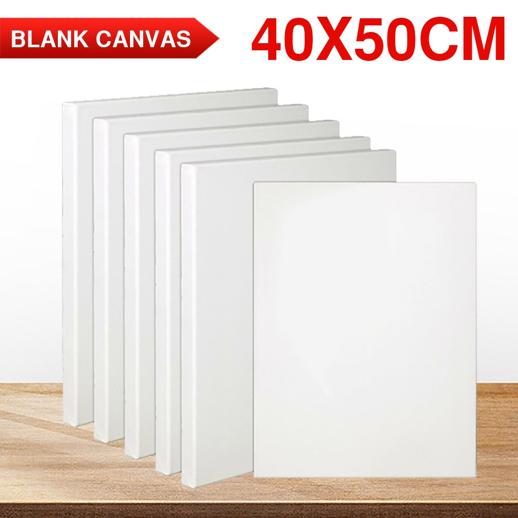 10x Artist Canvas Blank Stretched Canvases Art Large White Range Oil Acrylic