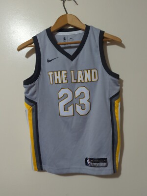 Nike Cleveland Cavaliers The Land Gray Jersey LeBron James Boys M S52