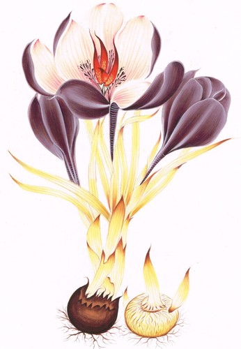 Indian Painting Of Beautiful Floral Handmade Gouache Art On Paper 8.5x11.5 Inche - Picture 2 of 3