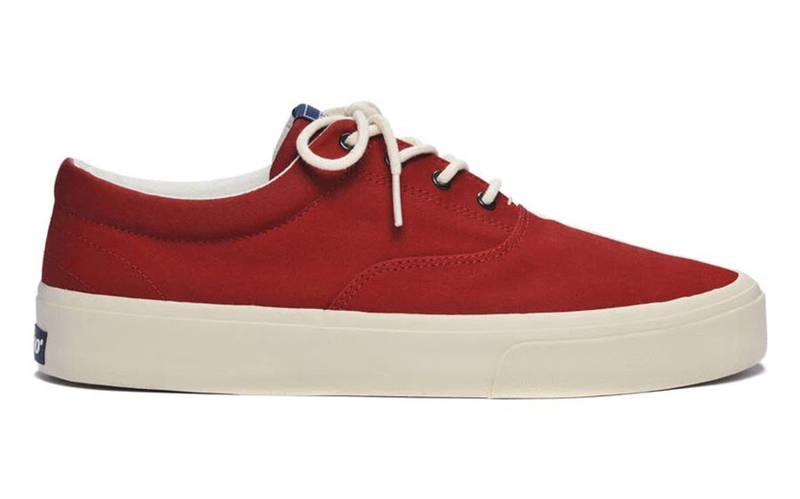 Sebago canvas shoes clearance