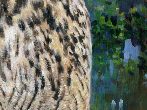 Photo Digital Product Wallpaper Background Image Picture Owl nature- forest bird - Picture 3 of 5