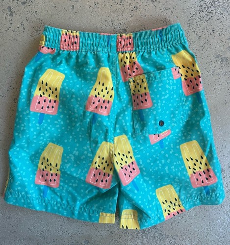 Boys Tea Collection Ice Pops Swim Trunks Lined Bathing Suits Size 7 EUC - Picture 3 of 3