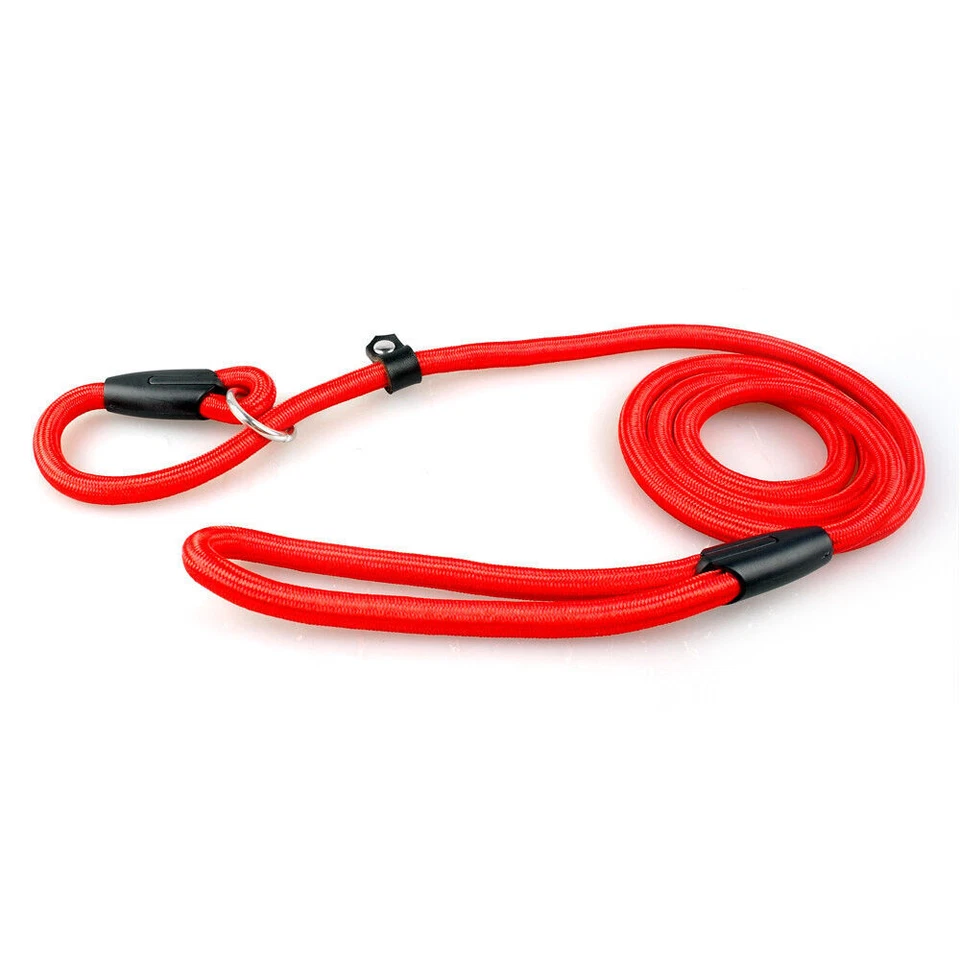 Correa ajustable de nailon duradera para perros con correa ajustable para mascotas cachorros collar de entrenamiento cuerda de bucle Foto 3 de 4