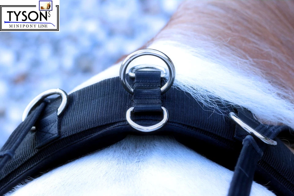 Longiergurt Gurt 16 Ring f. Doppellonge Neopren Minishetty Mini Shetty S P VB WB - Bild 3 von 4