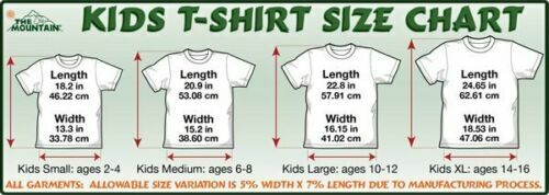 The Mountain Charging Triceratops Dinosaur Reptile Triassic Kids T-Shirt L-XL - Picture 3 of 4