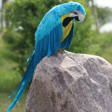 Artificial   Taxidermy decor- Parrot