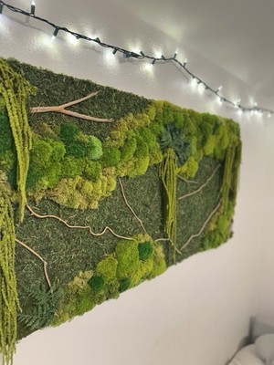 Moss Wall Original Artwork Framed 8'x2' Real Preserved Moss Background Wall Art