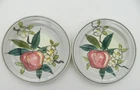 RED WING Pottery Apple Blossom Normandy 7" Side Salad Plates Vintage LOT OF 2