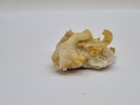 Foto 15 di 21