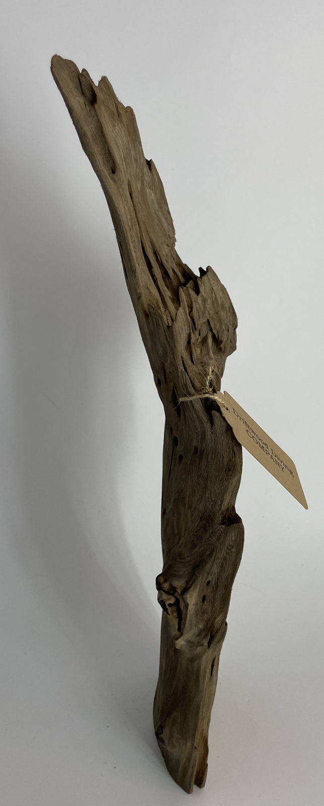 20x8” Cypress Driftwood Natural Aquarium Plant Art Unique Taxidermy eBay