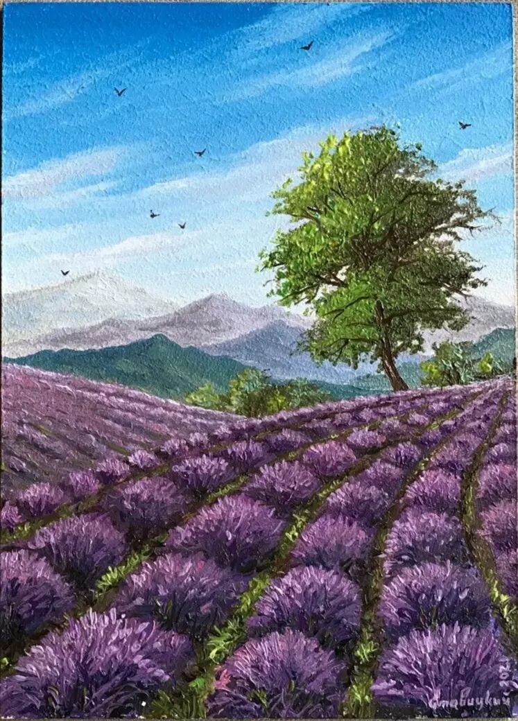 Violet lavender outlet