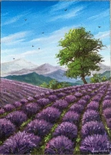 Violet Lavender field blooming. Blossoming colorful horizon in day oil painting