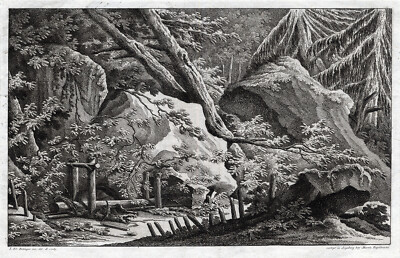 Antiker Druck - JAGD - WÖLF - HOLZFALLE - M.E. Ridinger-J.E. Ridinger-1768