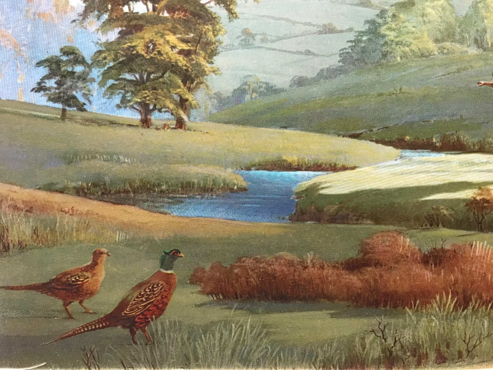 Picture 2 of 3