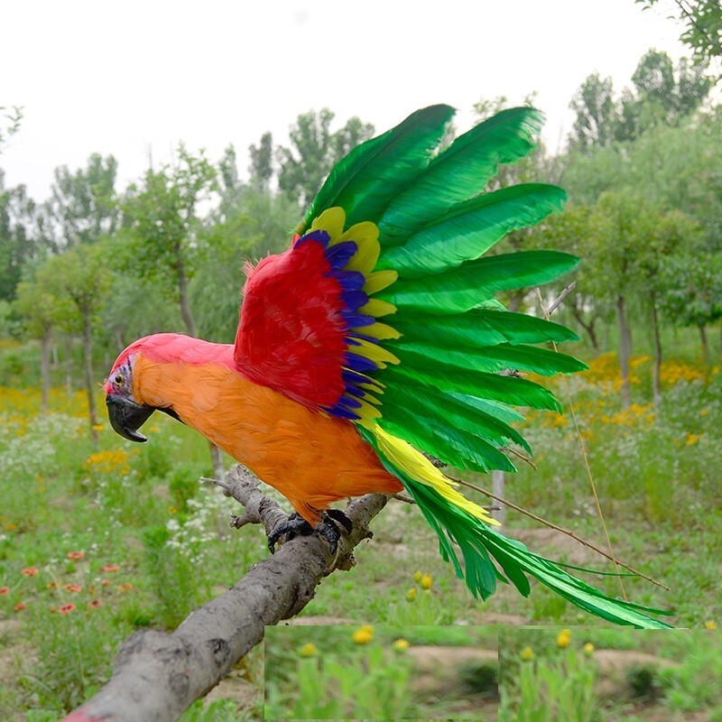 real life wings colorful parrot model foam&feather parrot bird