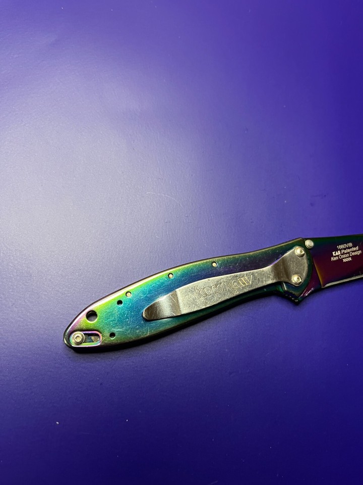 Kershaw USA Leek 1660VIB Rainbow Assisted Open Plain Edge Pocket Knife
