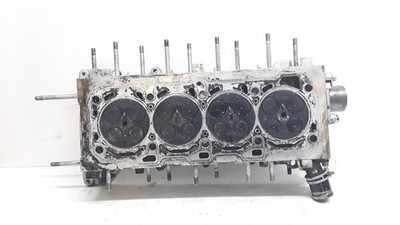 55565815 ZYLINDERKOPF R. OPEL INSIGNIA BERLINA COSMO 2008 03013116120 1144185