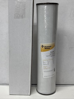 Pentair Pentek RFFE20-BB Big Blue 20'' Water Filter Whole House Iron Reduction