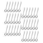  48 Pcs Gewürzlöffel Aus Edelstahl Kaffeelöffel Buffet-Servierlöffel