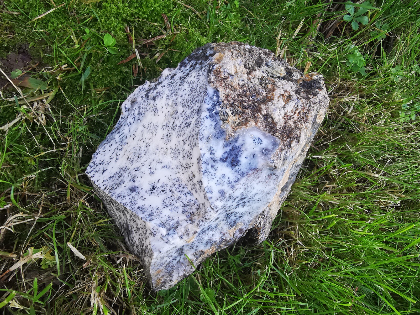 Bild 10 von 13
