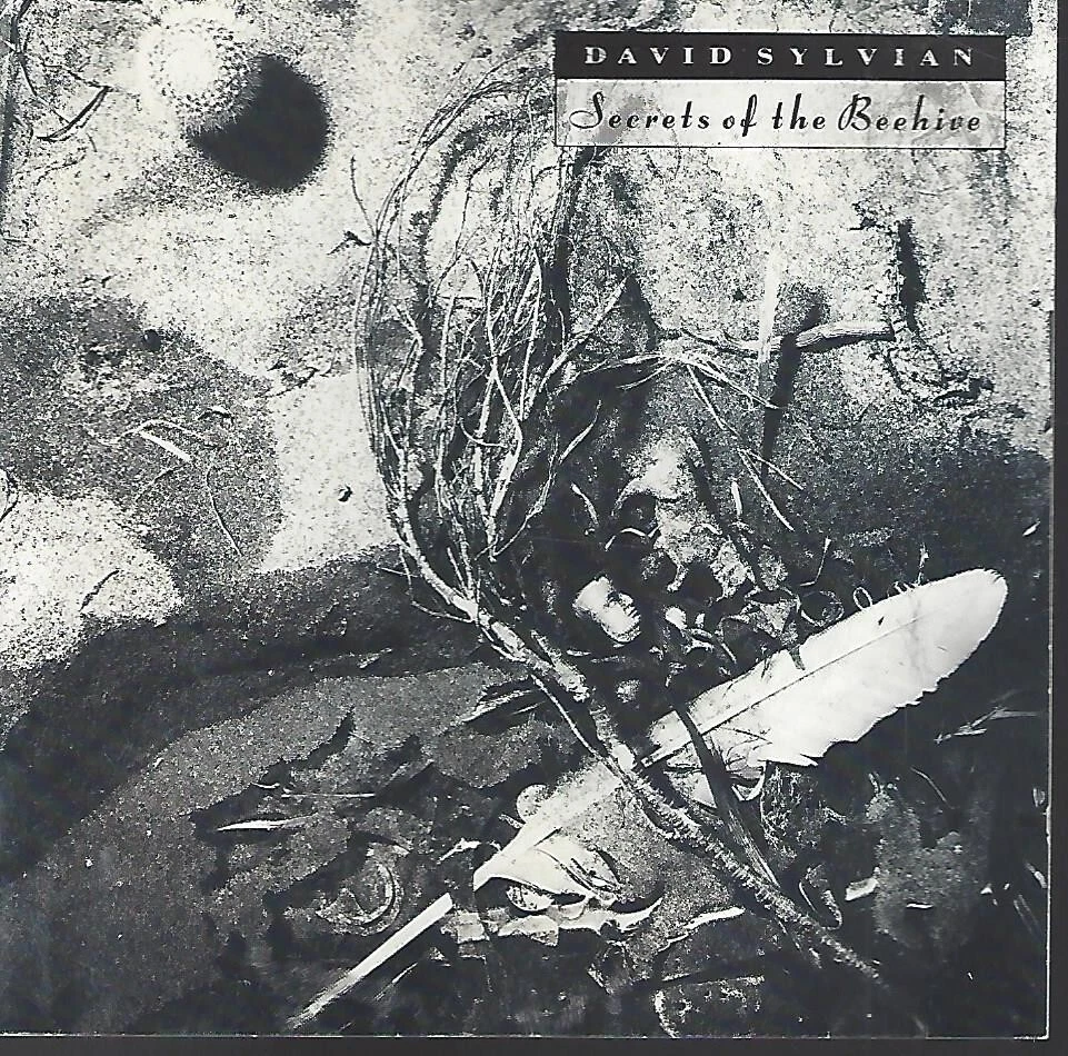 Rock David Sylvian Music CDs for sale | eBay