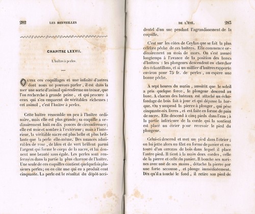 Les MERVEILLES des QUATRE SAISONS L'ÉTÉ Mlle BRUN Sciences Biologie Nature 1854 - Picture 8 of 12